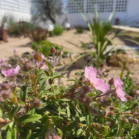 Al Poggiale - Residenza Mediterranea Porto Cesareo